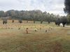 198 Private Road 1336 photo